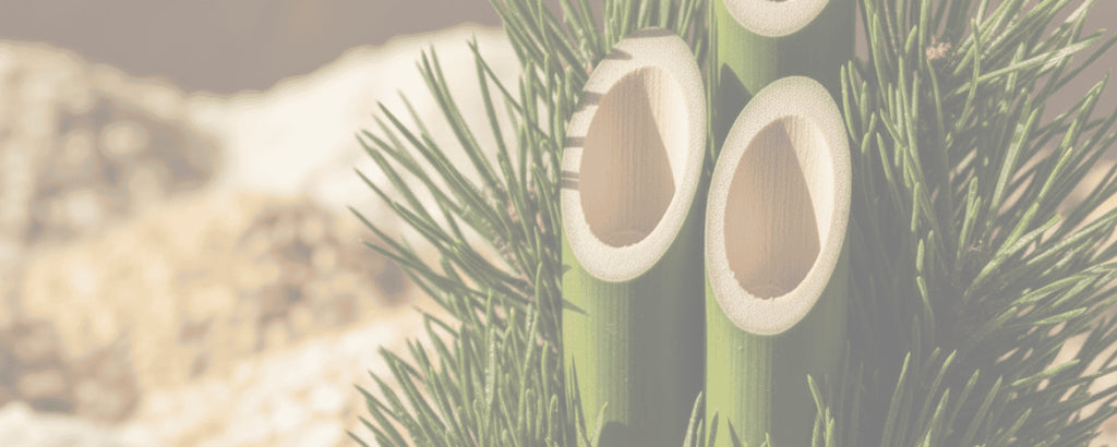 【年末年始休業のお知らせ】12月27日〜1月4日