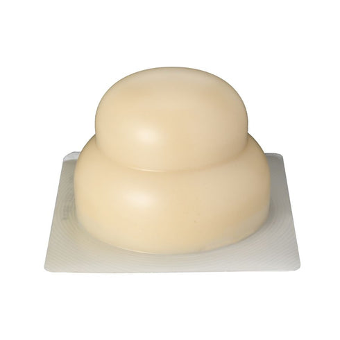 鏡もち(一体型) 1Kg(12/1より順次発送)